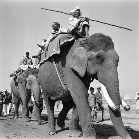 Kunbhamela de 1953. Foto: James Burke, Life